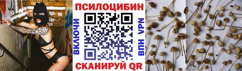 Псилоцибиновые грибы GOLDEN TEACHER  как найти наркотики  Жирновск 