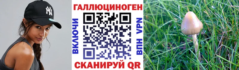 Псилоцибиновые грибы MAGIC MUSHROOMS Жирновск